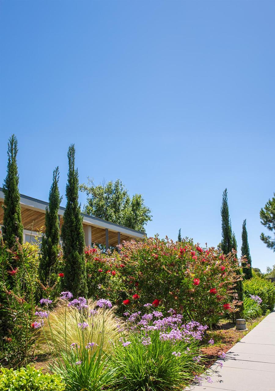 Costa Nera Beach House Porto-Vecchio  Exterior foto